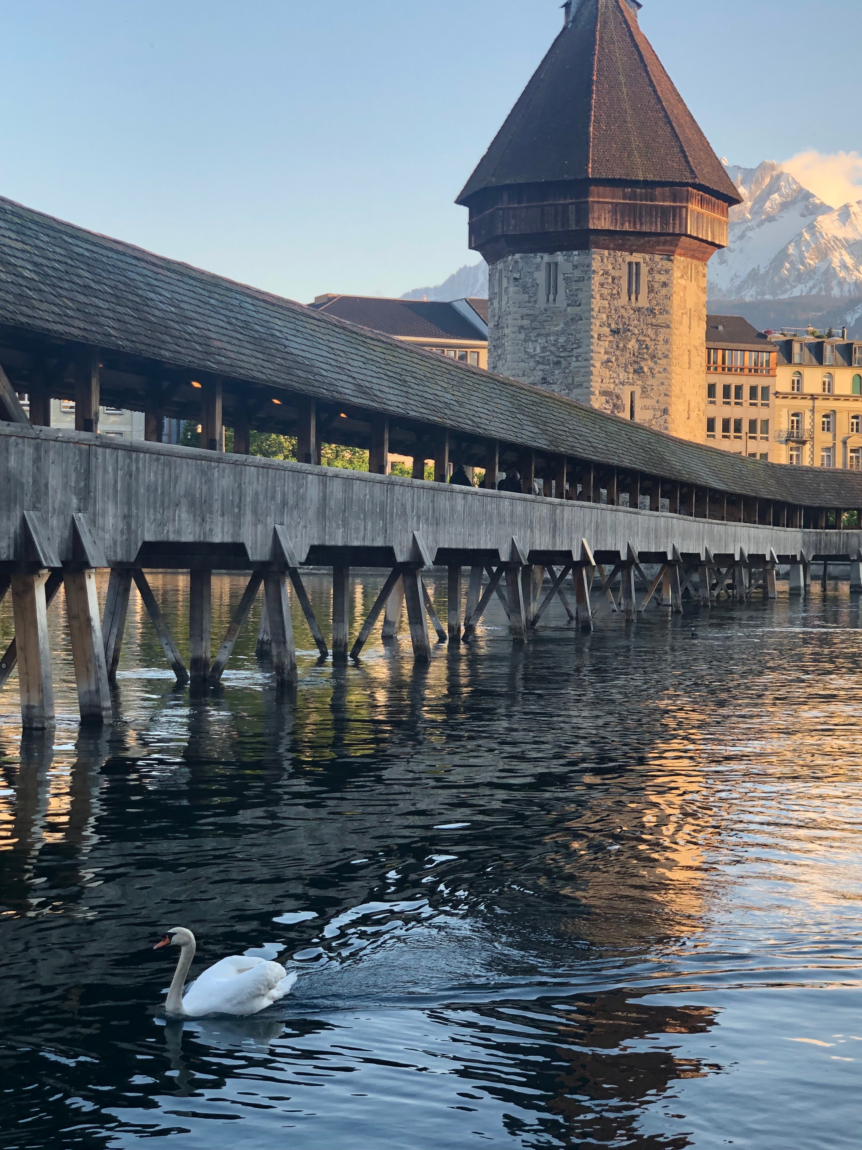 9박11일 스페인, 스위스 신혼여행 후기